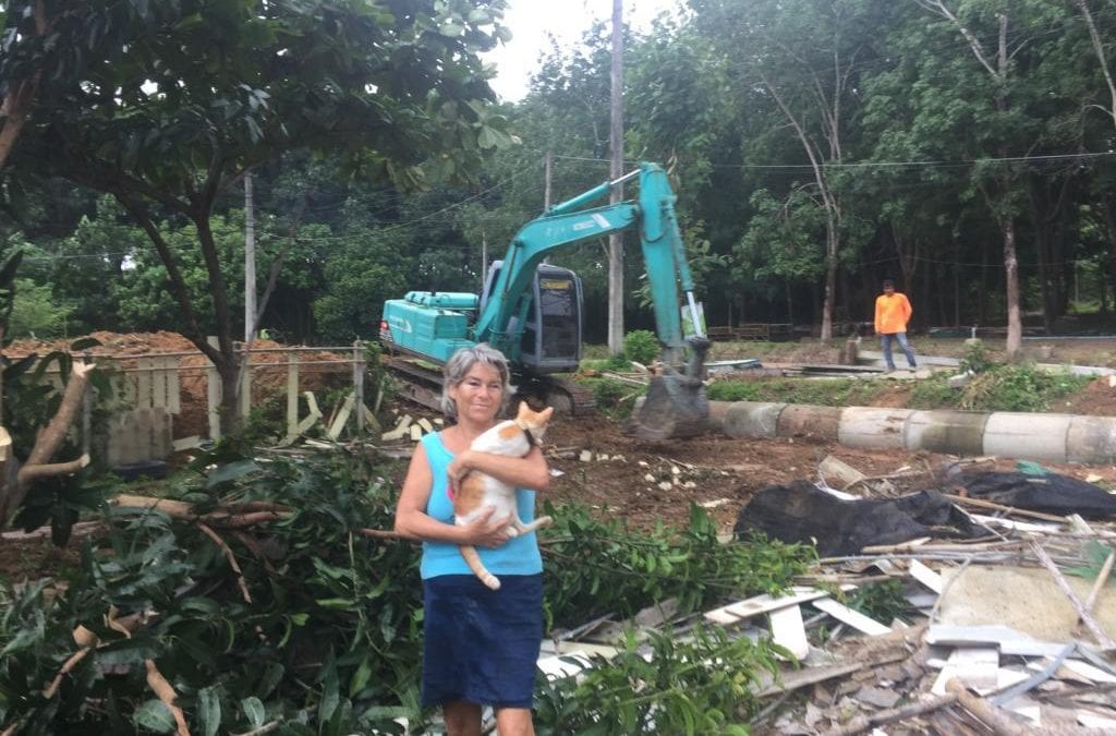 Kitty City is Under Construction