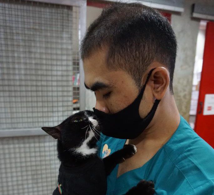 Tipping the scales: How a river fish helped a cat back to health